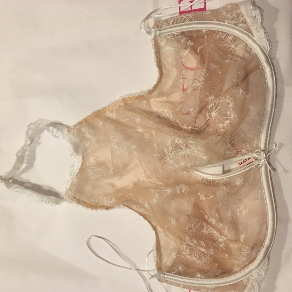 VS “Dream Angel” 34DD Bra